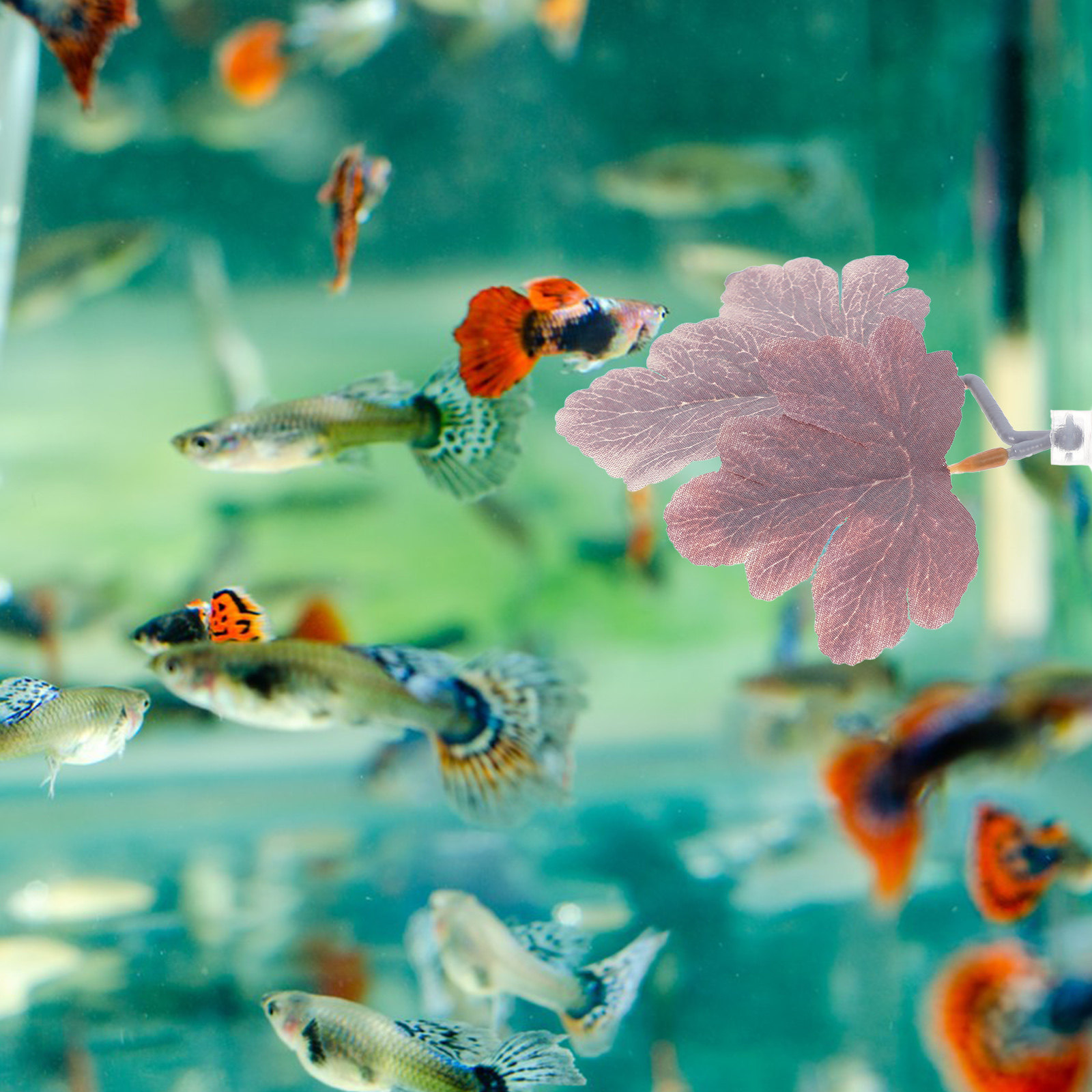 Planted Aquarium Betta - Artificial Betta Leaf Hammock Realistic Aquarium