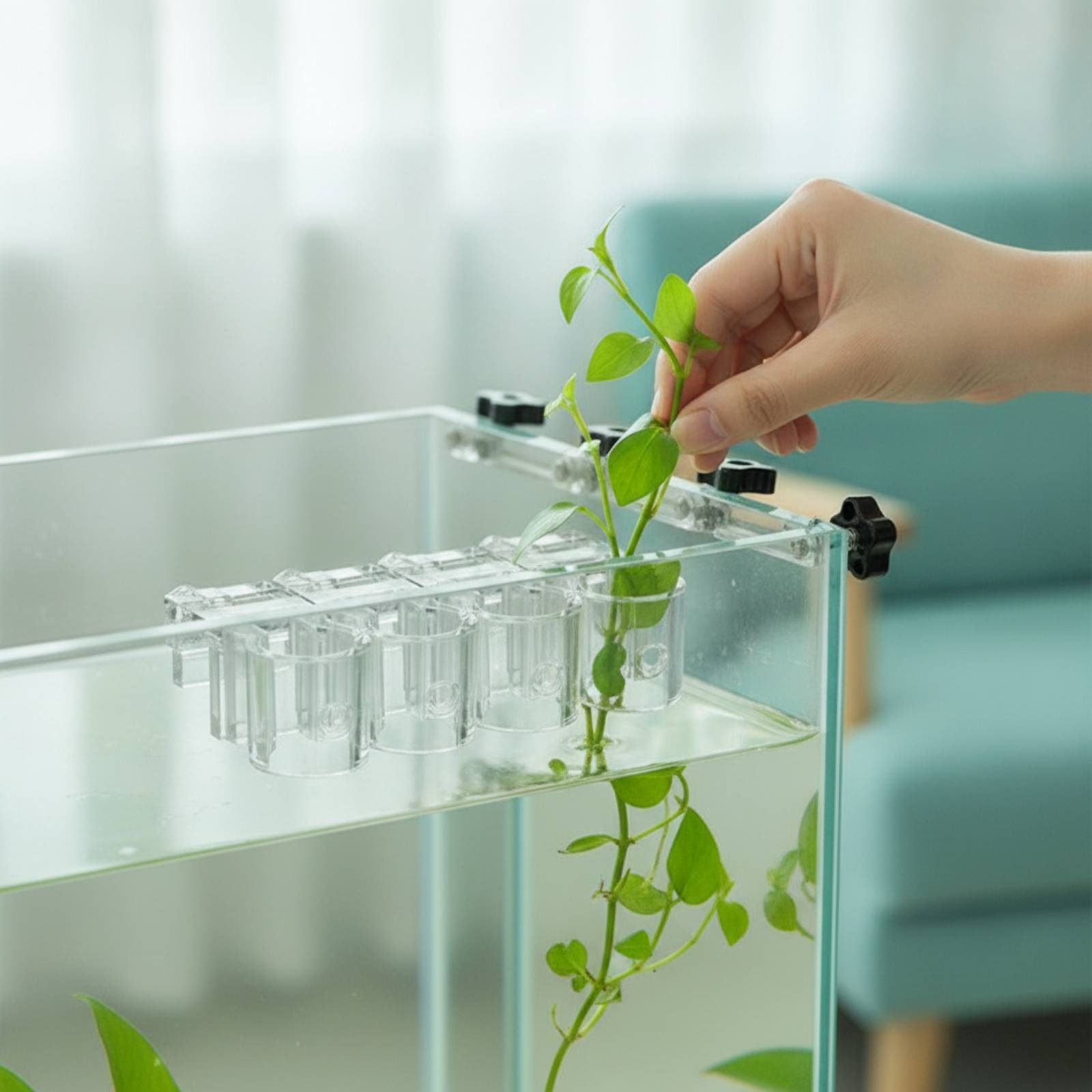 6 Pieces Aquarium Planter Clea - đánh giá và giá Aquarium Planting