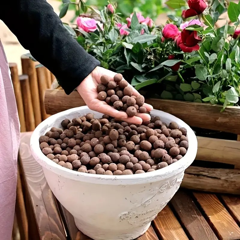 Lightweight & Breathable Terra - đánh giá và giá Aquarium Planting