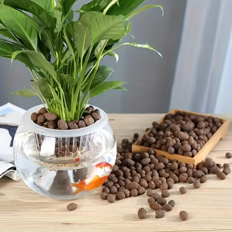 Lightweight & Breathable Terra - đánh giá và giá Aquarium Planting