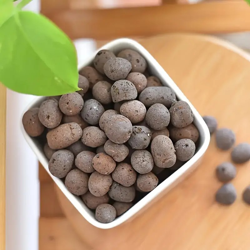 Lightweight & Breathable Terra - đánh giá và giá Aquarium Planting