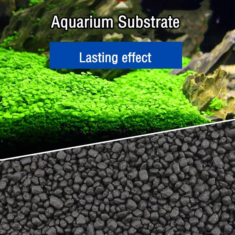 500g Aquarium Planted Soil Sub - đánh giá và giá Aquasoil Substrate