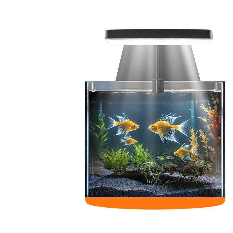 Led Waterproof Aquarium Light  - đánh giá và giá Aquarium Planting