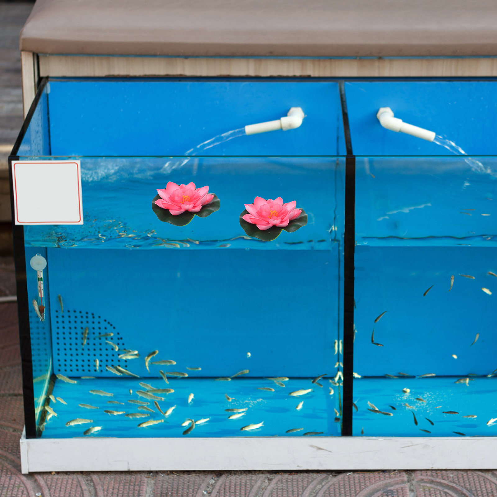 12Pcs Artificial Floating Wate - đánh giá và giá Aquarium Planting