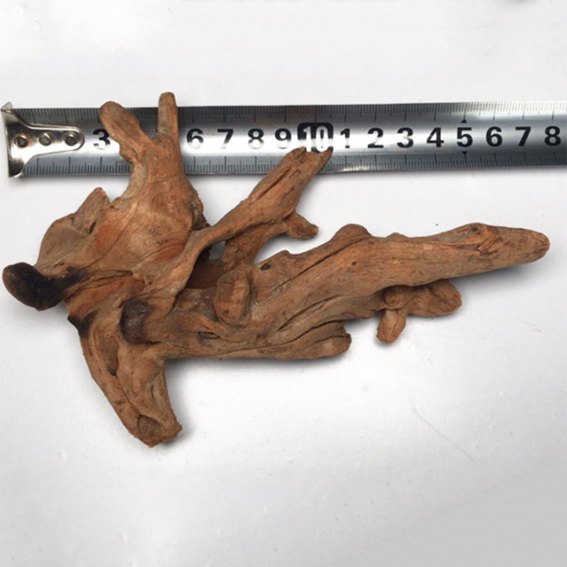 Natural Tree Trunk Aquarium De - đánh giá và giá Aquarium Plant Root Tabs