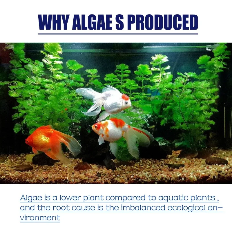 50g High Efficiency Algaecide  - đánh giá và giá Aquarium Plant Delivery