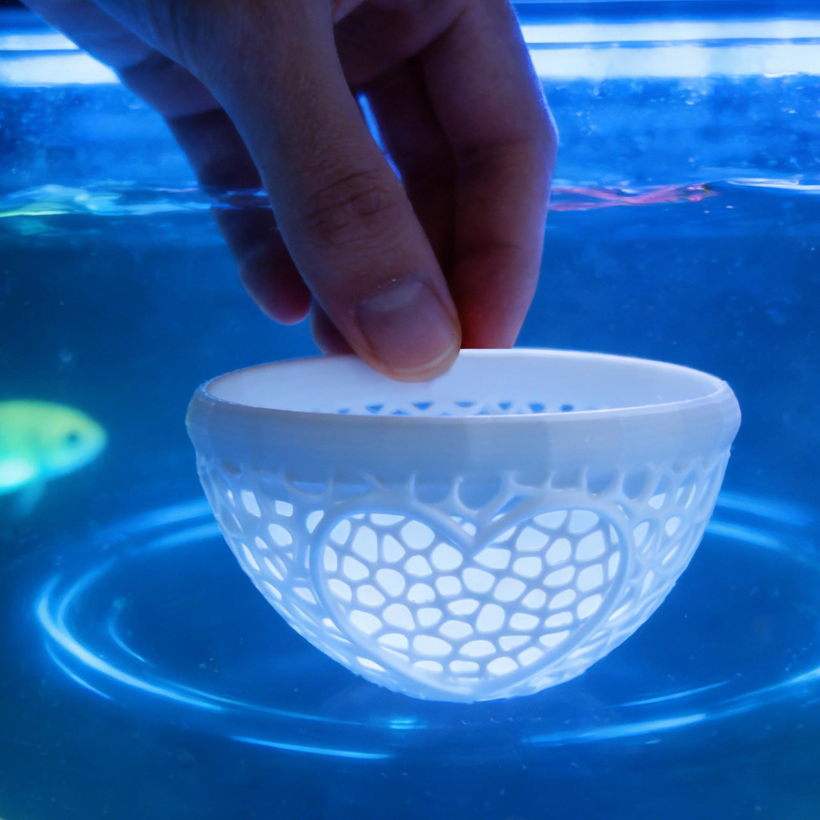 Floating betta shelter Betta h - đánh giá và giá Planted Aquarium Betta