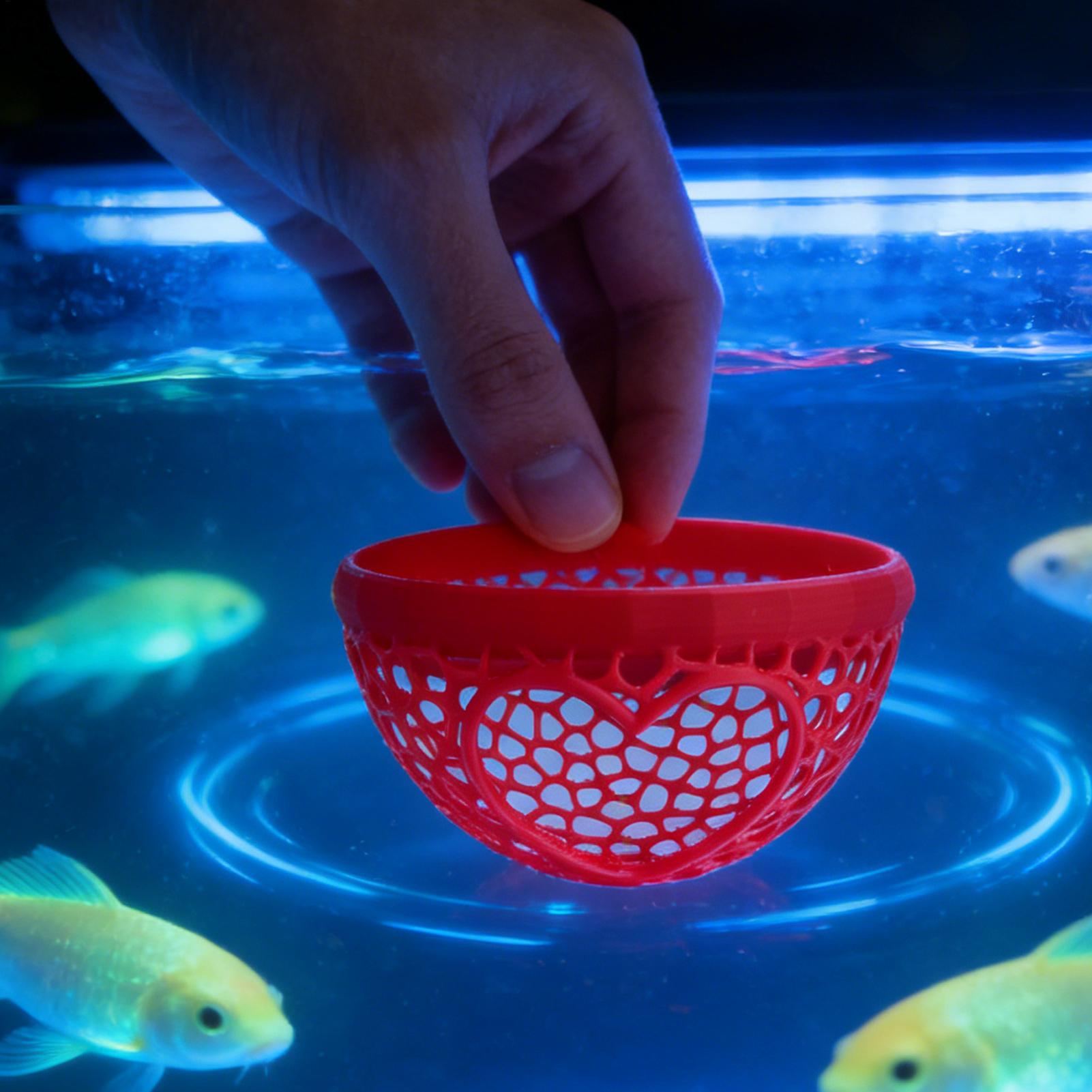Floating betta shelter Betta h - đánh giá và giá Planted Aquarium Betta