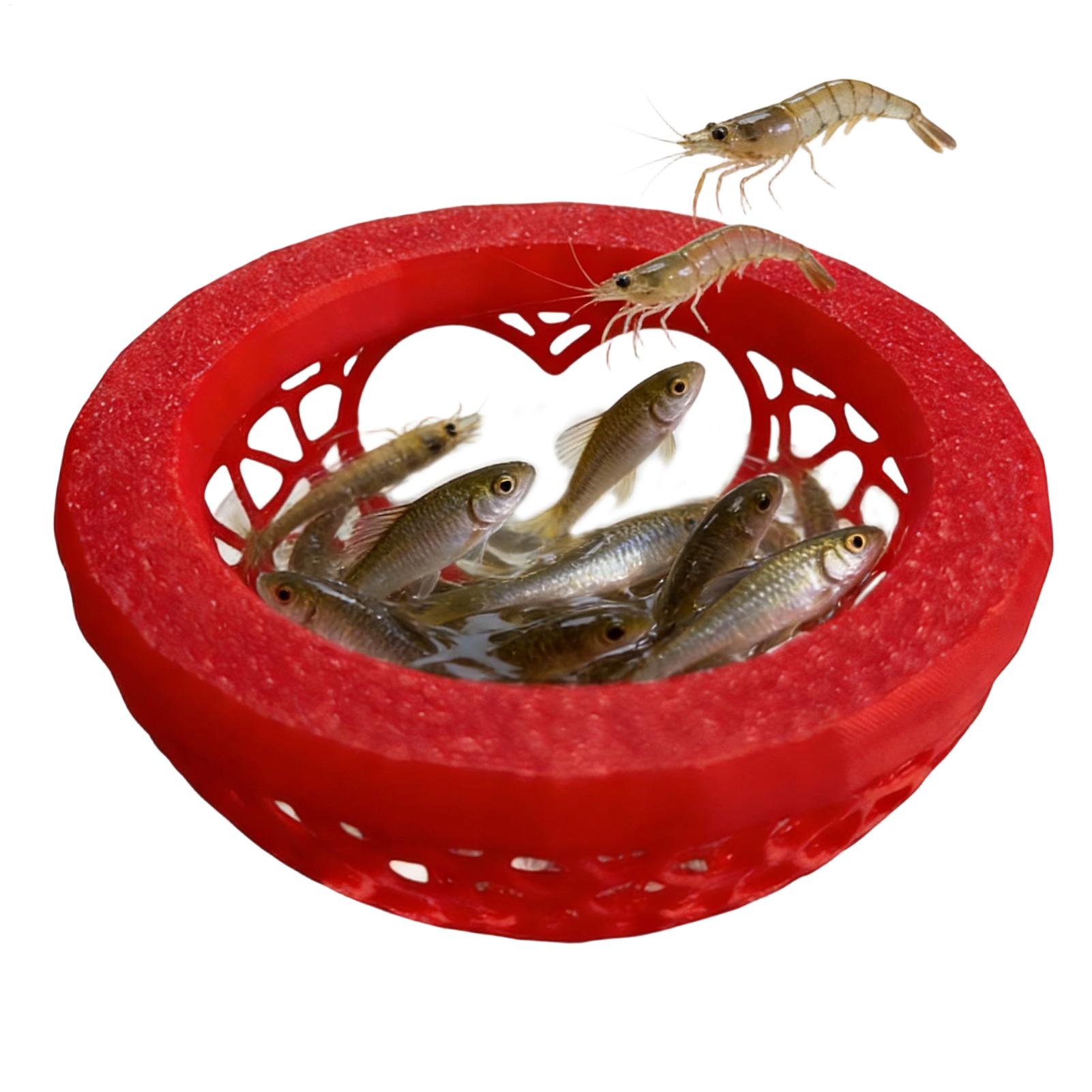 Floating betta shelter Betta h - đánh giá và giá Planted Aquarium Betta