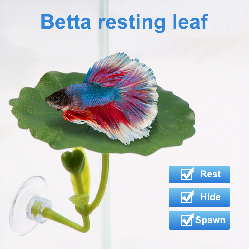 1 Pc Green Leaf Hammock For Be - đánh giá và giá Planted Aquarium Betta