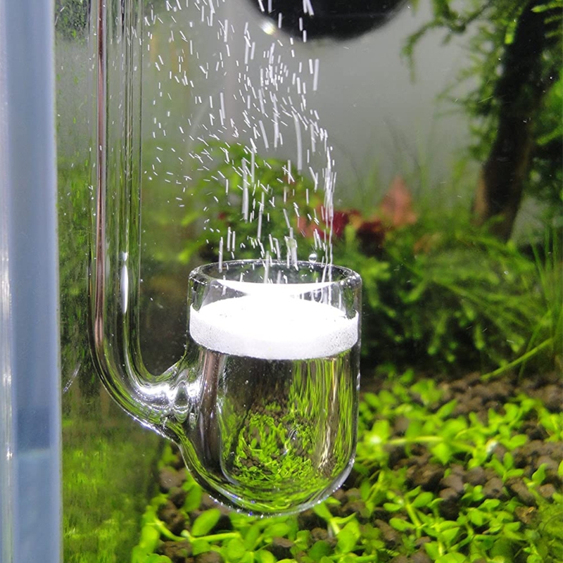 Máy khuếch tán CO2 thủy tinh D - đánh giá và giá Aquarium Plant Delivery