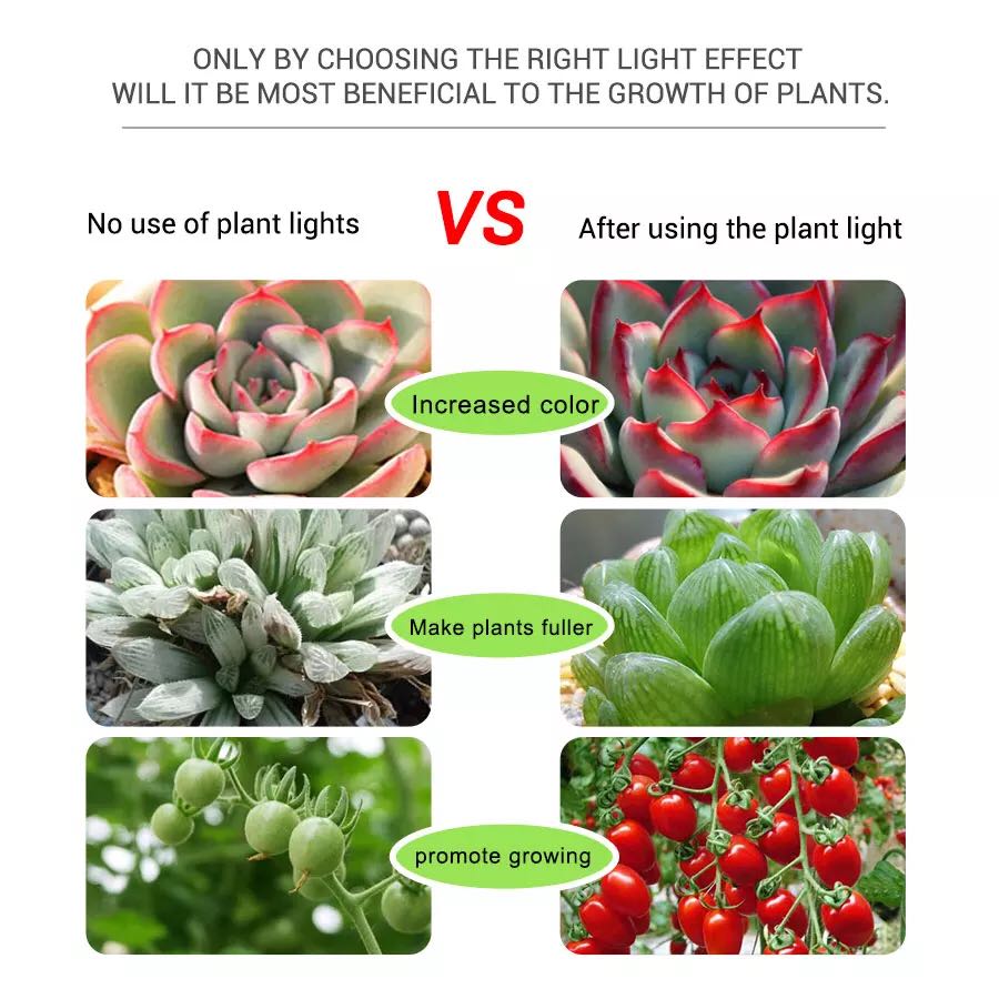 5V Grow Led Flower Aquarium Fu - đánh giá và giá Planted Aquarium Hours