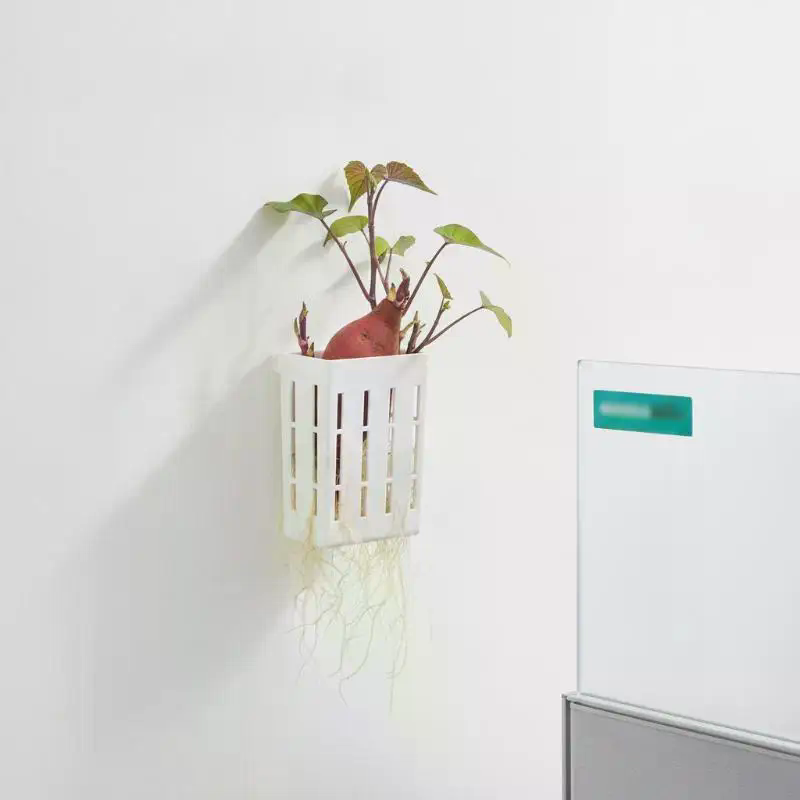 1Pcs Hydroponic Support Basket - đánh giá và giá Aquarium Planting