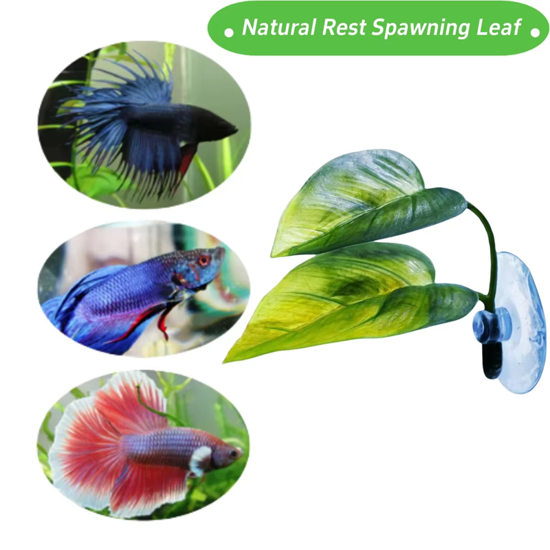 Aquarium Pet Supplies Decorati - đánh giá và giá Planted Aquarium Betta