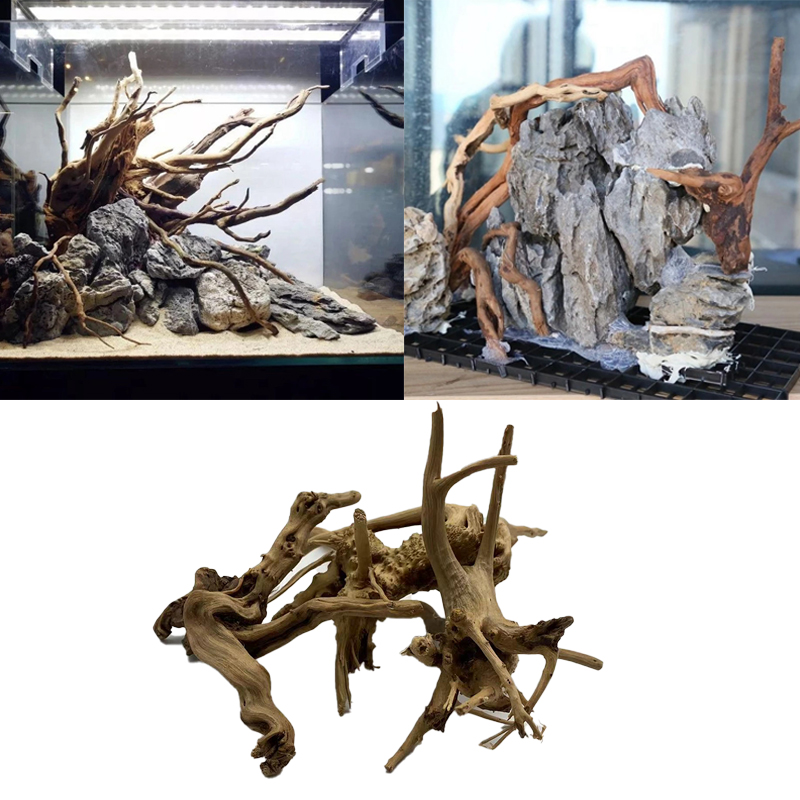 Tự Nhiên Thân Cây Gỗ Trôi Bể C - đánh giá và giá Aquarium Plant Root Tabs