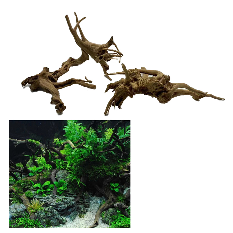 Tự Nhiên Thân Cây Gỗ Trôi Bể C - đánh giá và giá Aquarium Plant Root Tabs