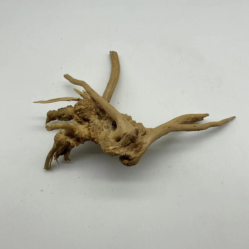 Tự Nhiên Thân Cây Gỗ Trôi Bể C - đánh giá và giá Aquarium Plant Root Tabs
