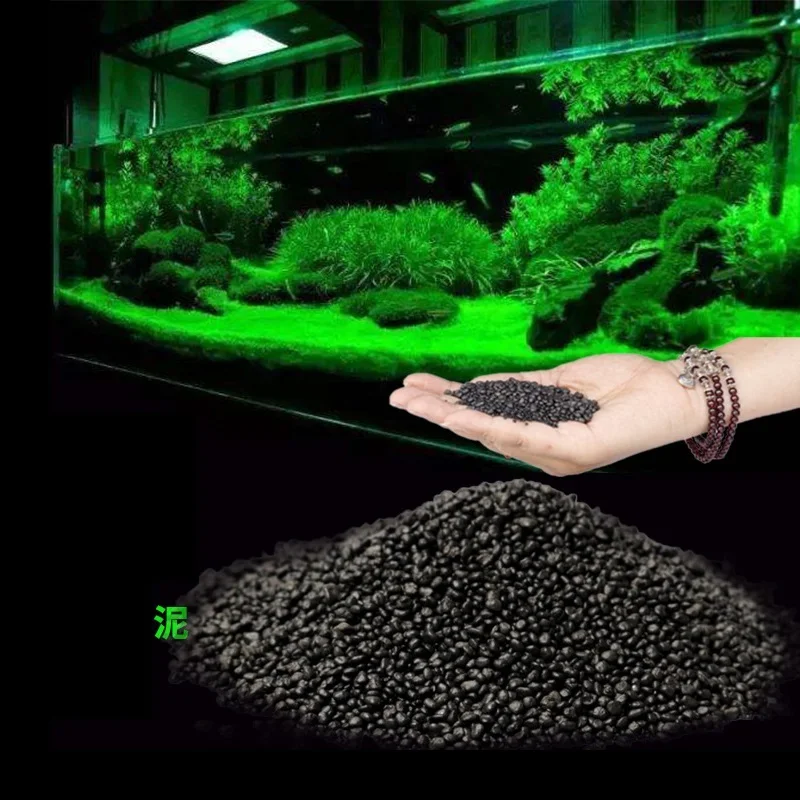 500g Aquarium Planted Soil Sub - đánh giá và giá Aquasoil Substrate