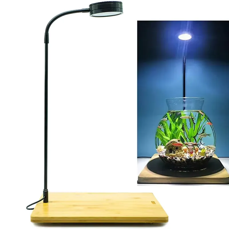 Full Spectrum LED Light with B - đánh giá và giá Planted Aquarium Betta
