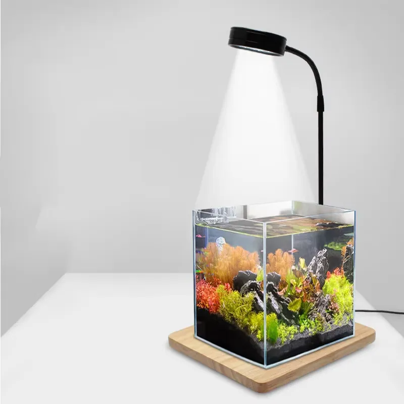 Full Spectrum LED Light with B - đánh giá và giá Planted Aquarium Betta