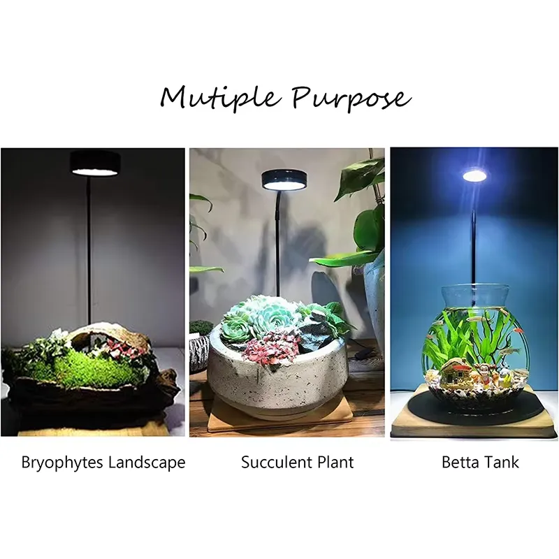 Full Spectrum LED Light with B - đánh giá và giá Planted Aquarium Betta