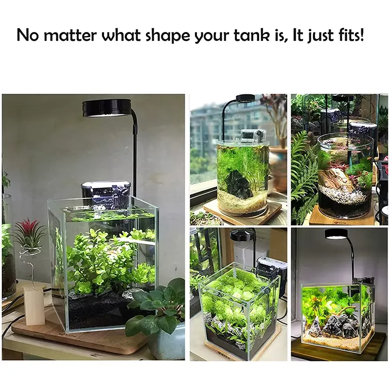 Full Spectrum LED Light with B - đánh giá và giá Planted Aquarium Betta