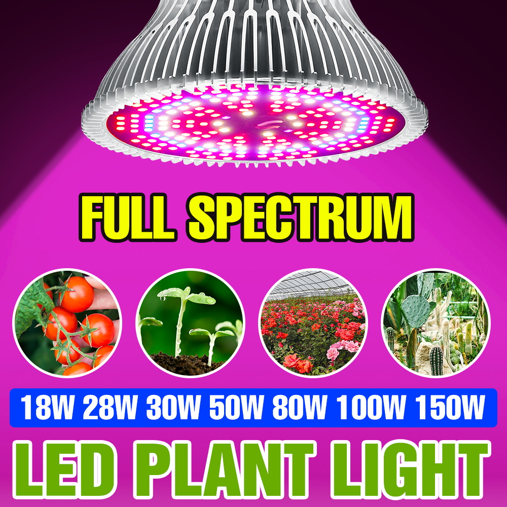 150W E27 Full Spectrum Plant B - đánh giá và giá Aquarium Plant Root Tabs