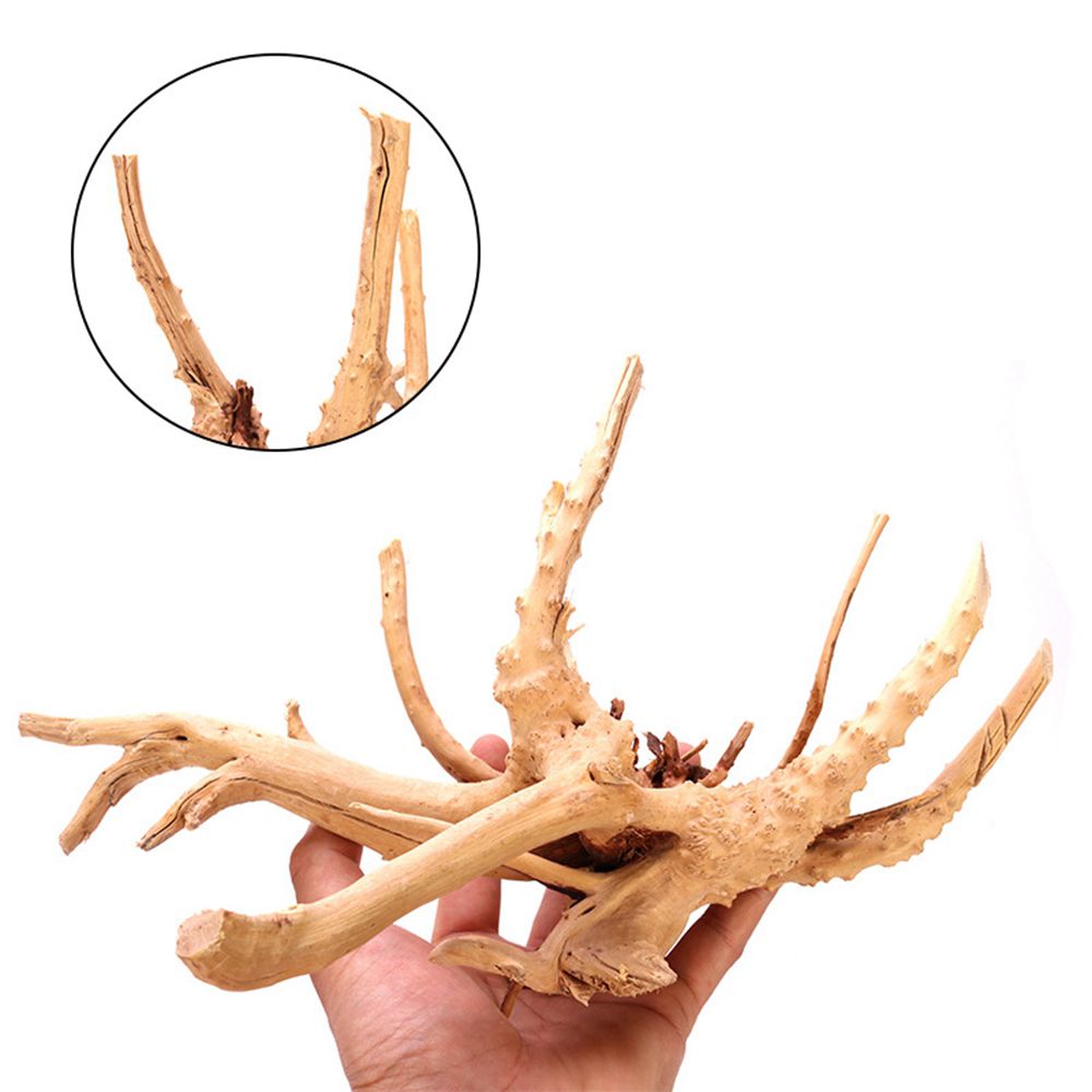1 Pcs Wood Natural Trunk Drift - đánh giá và giá Aquarium Plant Root Tabs