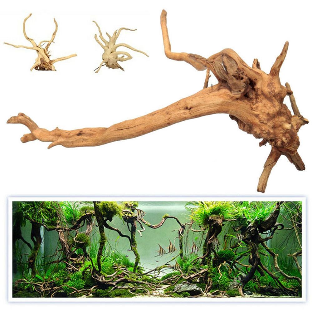 1 Pcs Wood Natural Trunk Drift - đánh giá và giá Aquarium Plant Root Tabs