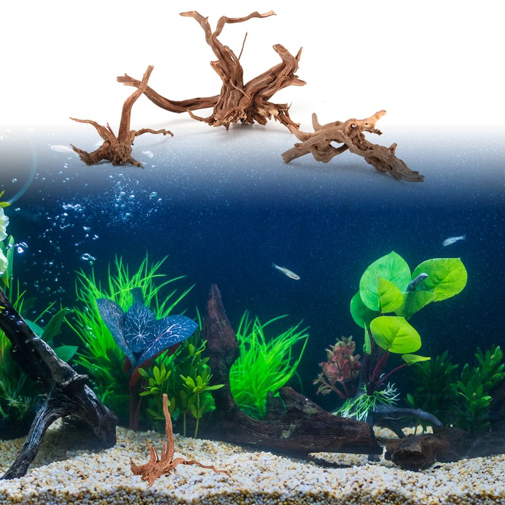 1 Pcs Wood Natural Trunk Drift - đánh giá và giá Aquarium Plant Root Tabs