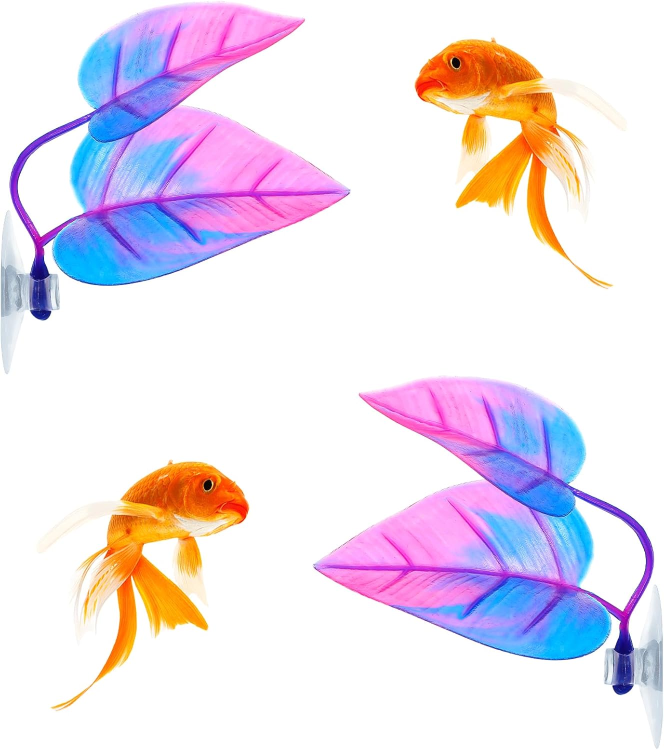 4 Gói Cá Betta Lá Võng Mô Phỏn - đánh giá và giá Planted Aquarium Betta