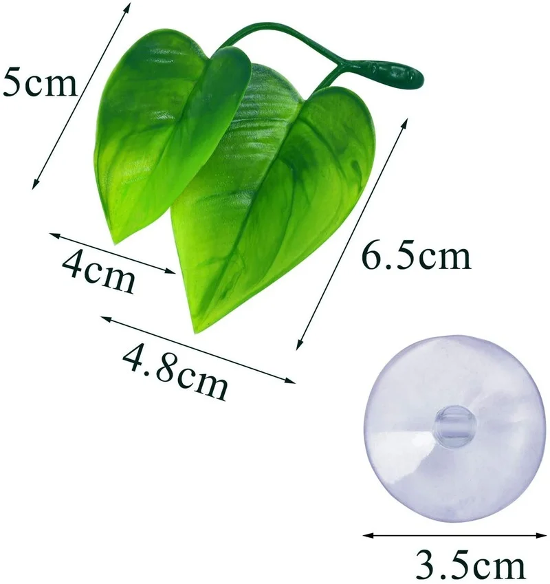 4 Gói Cá Betta Lá Võng Mô Phỏn - đánh giá và giá Planted Aquarium Betta