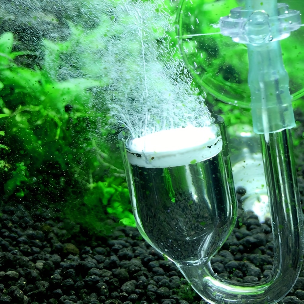 Aquarium Glass CO2 Atomizer Di - đánh giá và giá Aquarium Plant Delivery