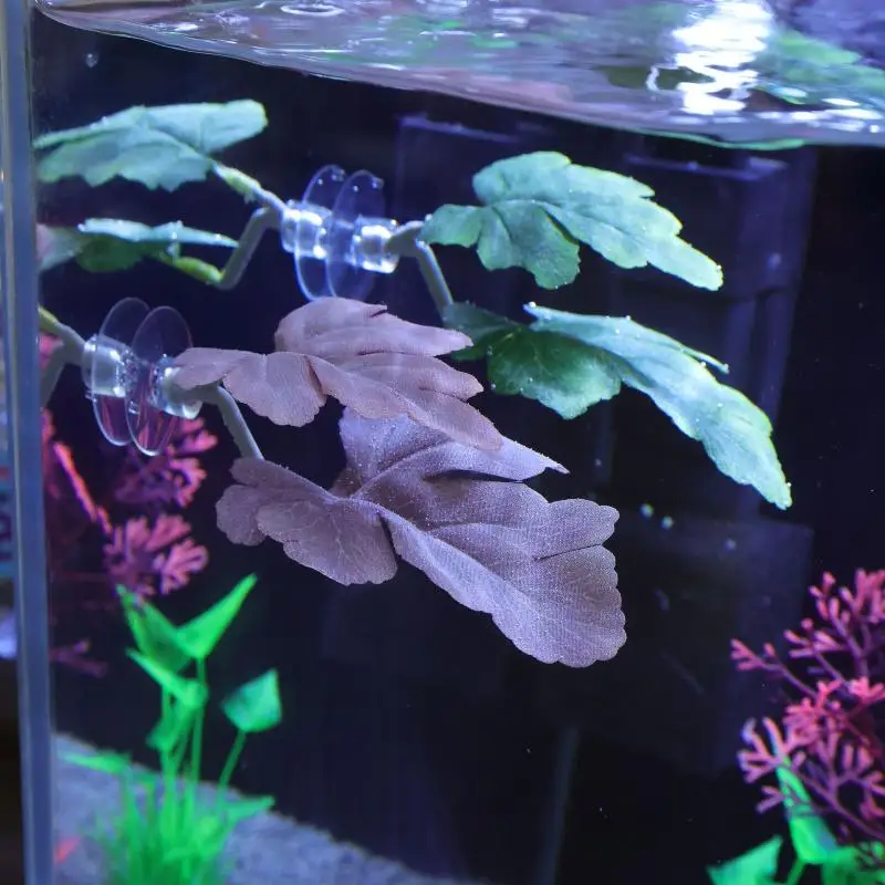 Betta Fish Leaf Hammock Aquari - đánh giá và giá Planted Aquarium Betta