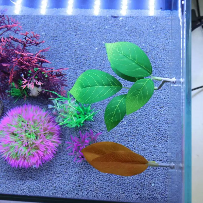 Betta Fish Leaf Hammock Aquari - đánh giá và giá Planted Aquarium Betta