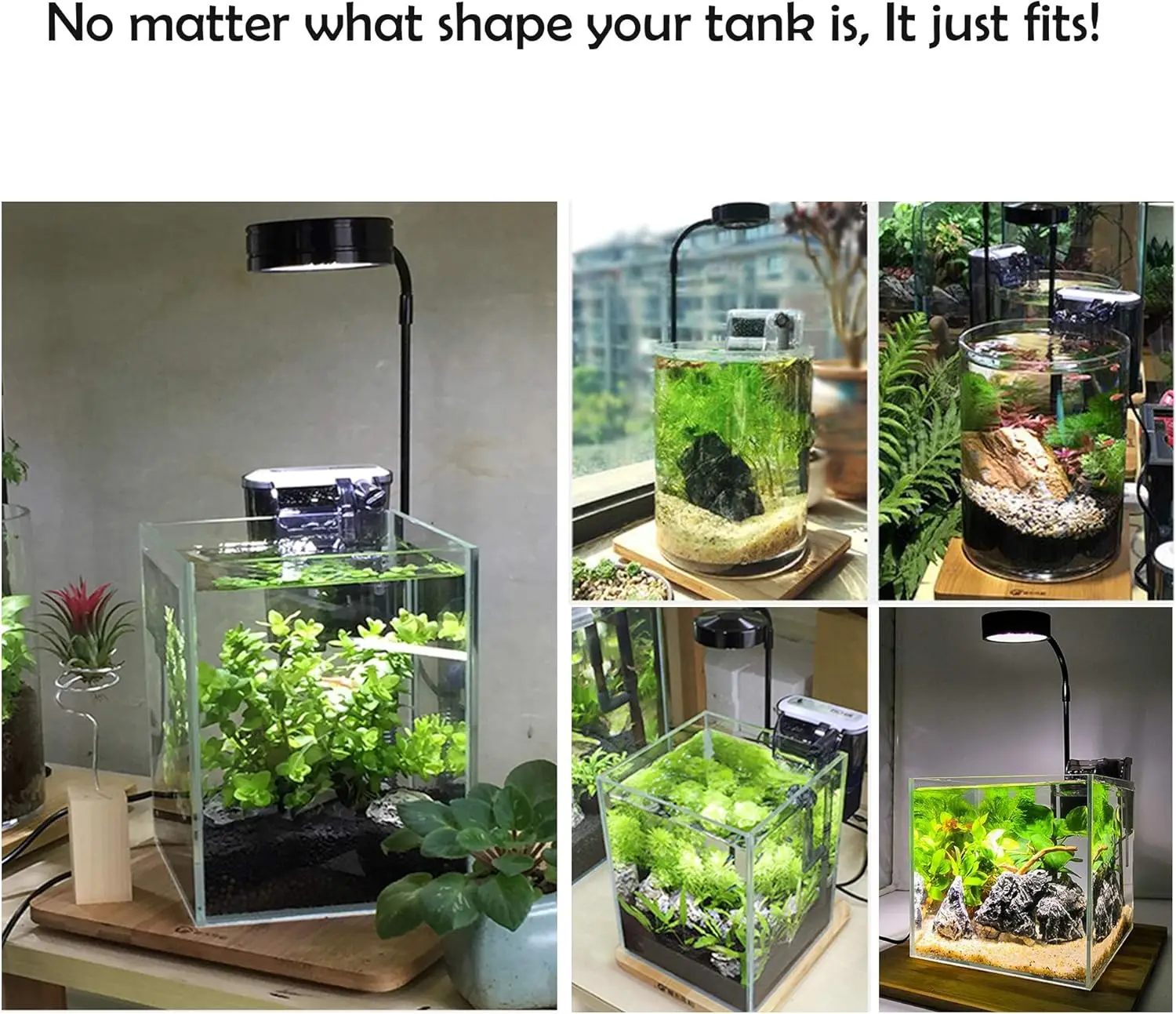 LED Aquarium Grow Light with B - đánh giá và giá Planted Aquarium Betta