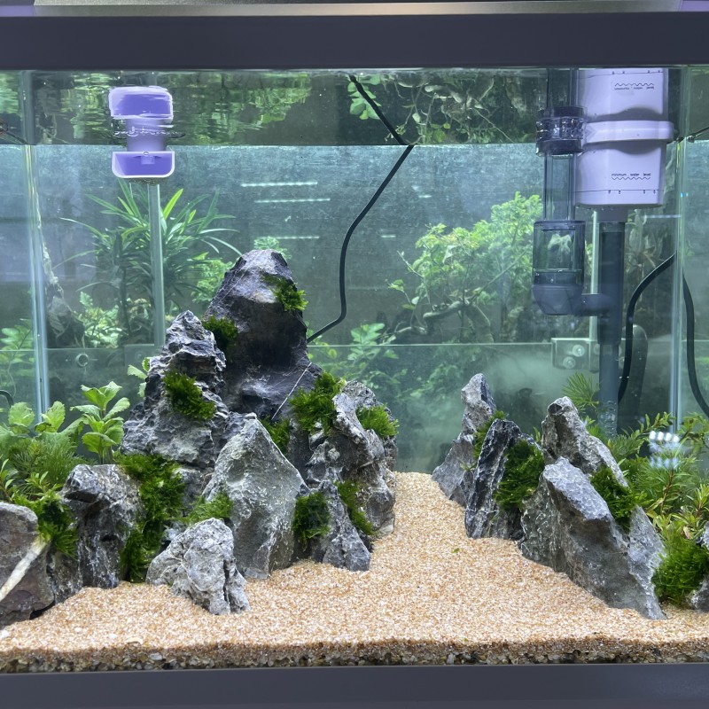 Natural Decorative Dragon Ston - đánh giá và giá Aquasoil Substrate