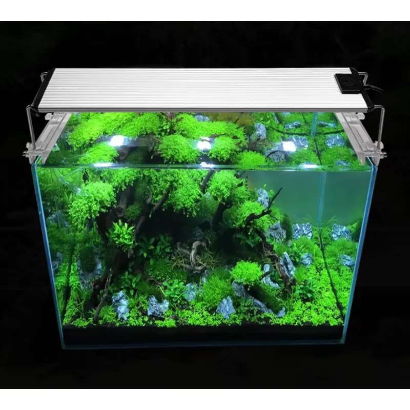 RGB Full Spectrum Silver Touch - đánh giá và giá Planted Aquarium Hours