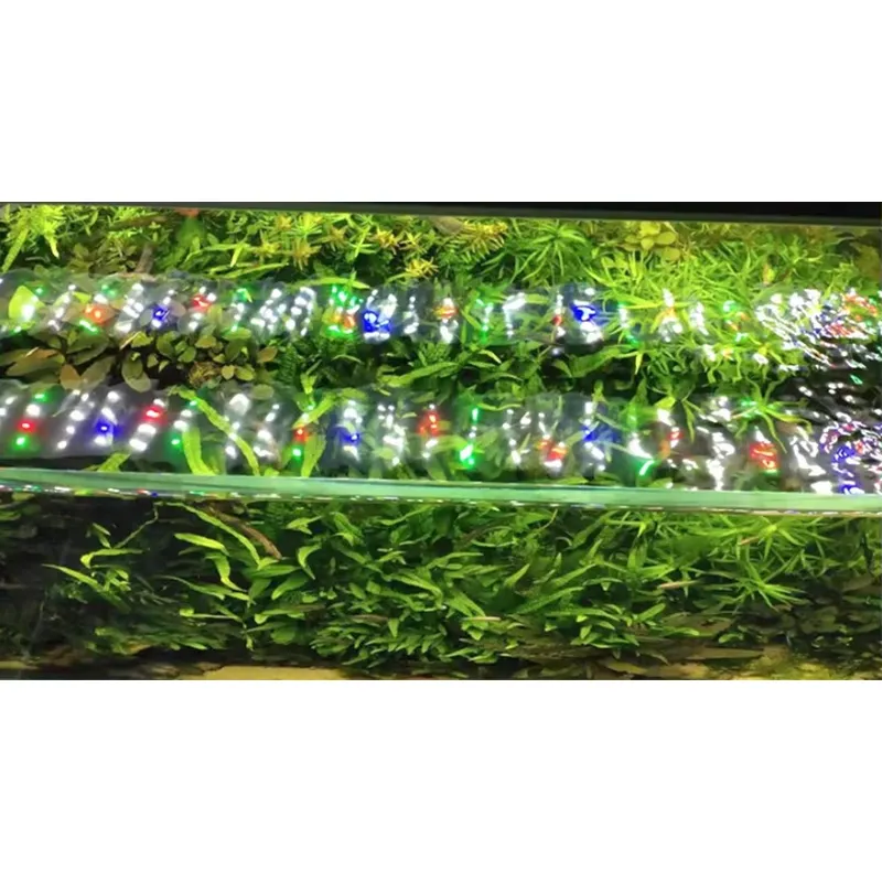 RGB Full Spectrum Silver Touch - đánh giá và giá Planted Aquarium Hours