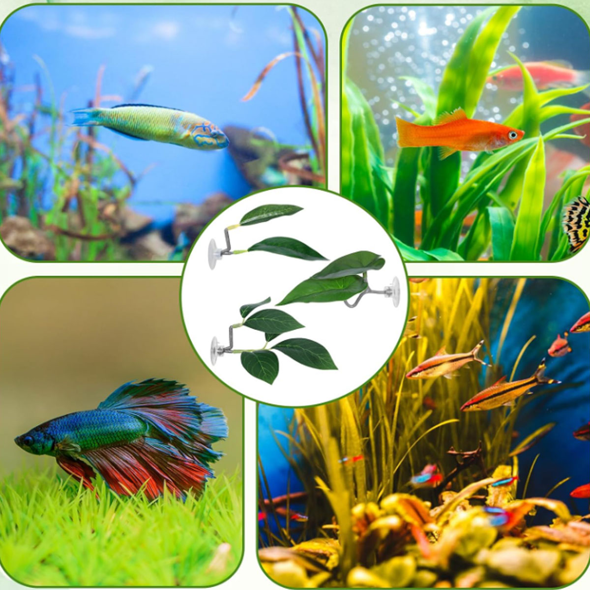 1 PC Betta Fish Hammock Soft A - đánh giá và giá Planted Aquarium Betta