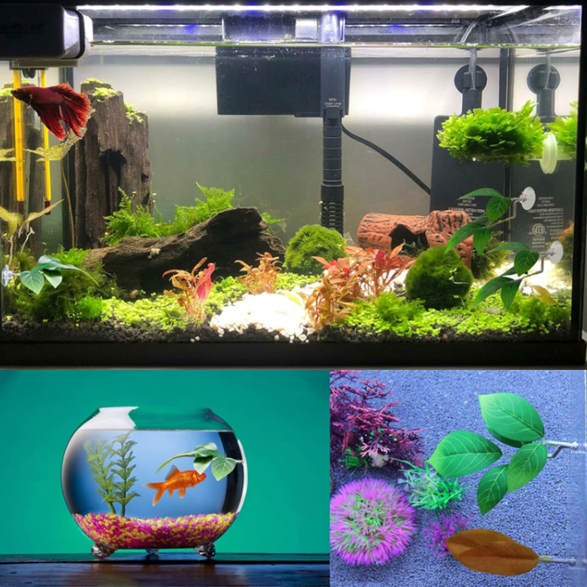 1 PC Betta Fish Hammock Soft A - đánh giá và giá Planted Aquarium Betta