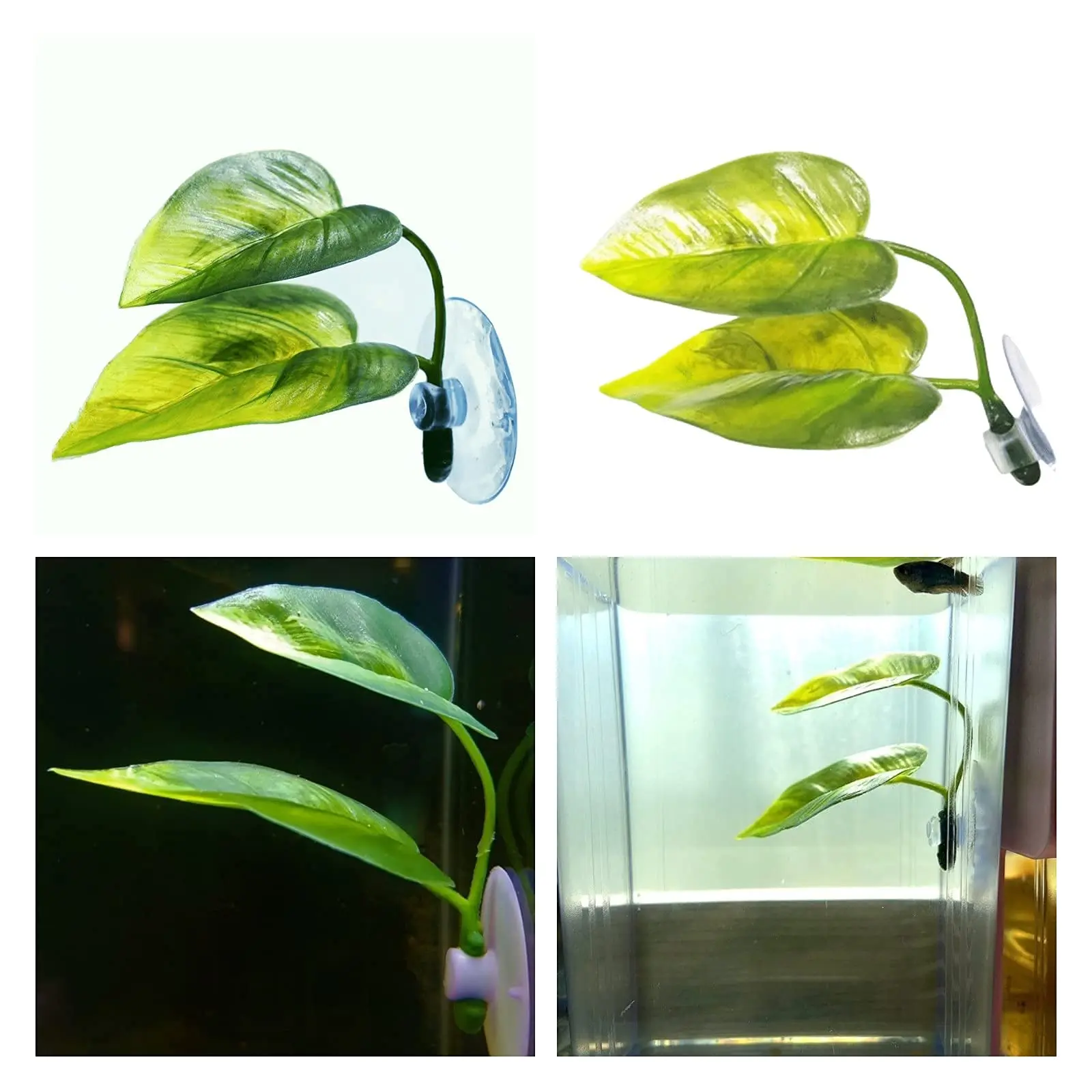 Pets Fish Tank Decor Betta Rel - đánh giá và giá Planted Aquarium Betta