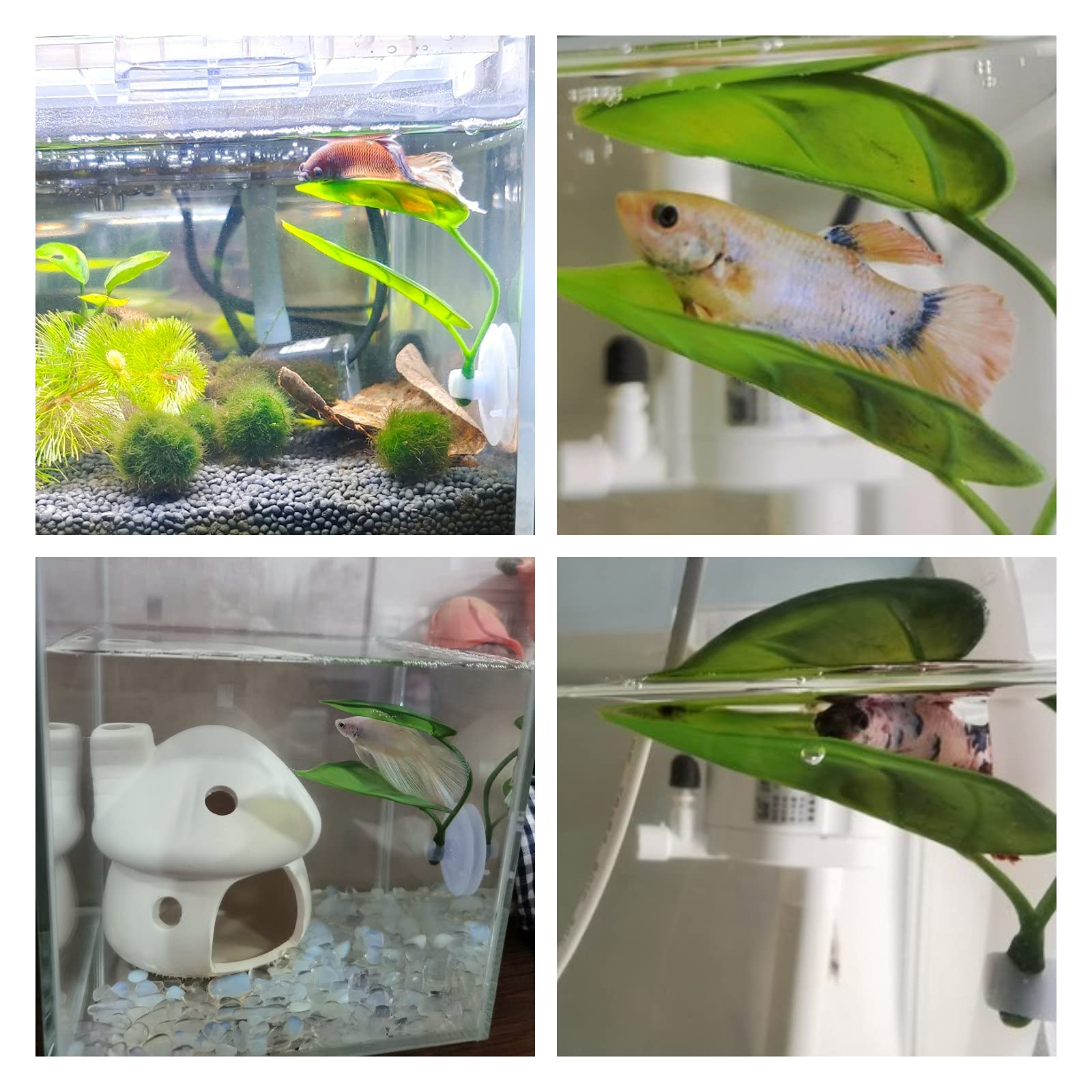Pets Fish Tank Decor Betta Rel - đánh giá và giá Planted Aquarium Betta