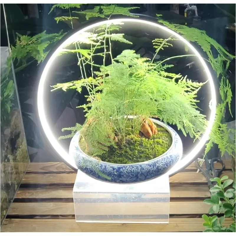 Desktop LED Aquarium Lamp for  - đánh giá và giá Planted Aquarium Hours
