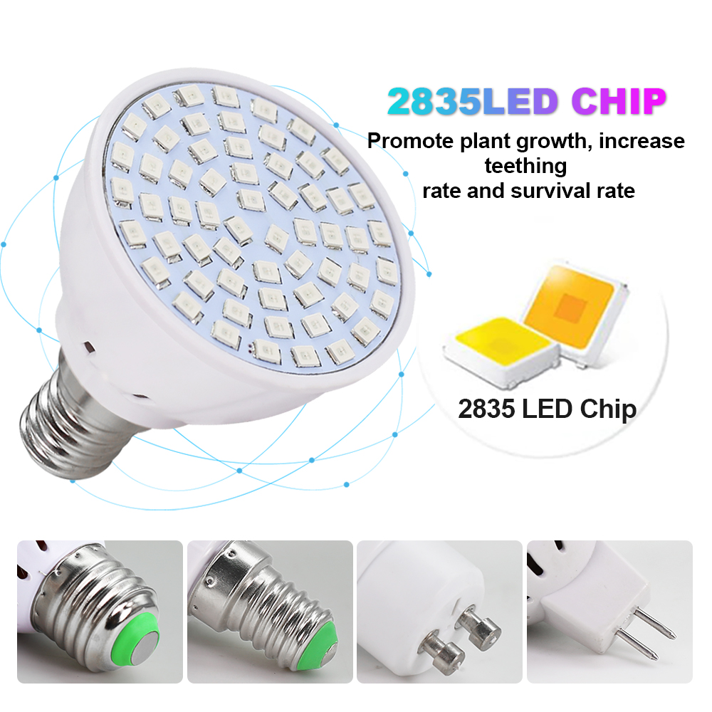 Led Grow Bulb 220V E27 60 80LE - đánh giá và giá Aquarium Plant Root Tabs
