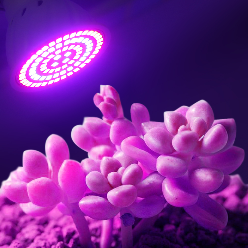 Led Grow Bulb 220V E27 60 80LE - đánh giá và giá Aquarium Plant Root Tabs