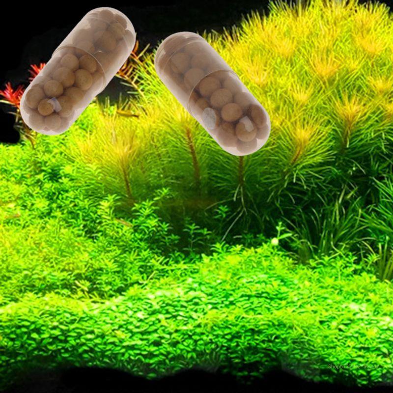 QX2E Bể Cá Sống Phân Bón Thực  - đánh giá và giá Aquasoil Substrate