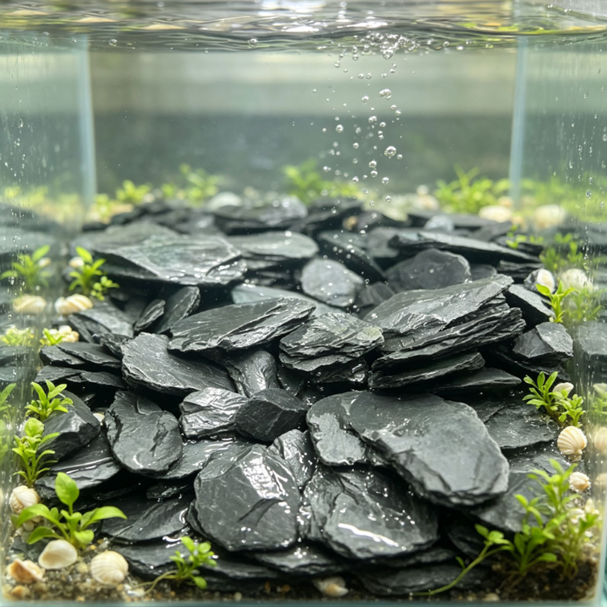 800g 5-10cm Black Slate Stone  - đánh giá và giá Aquasoil Substrate