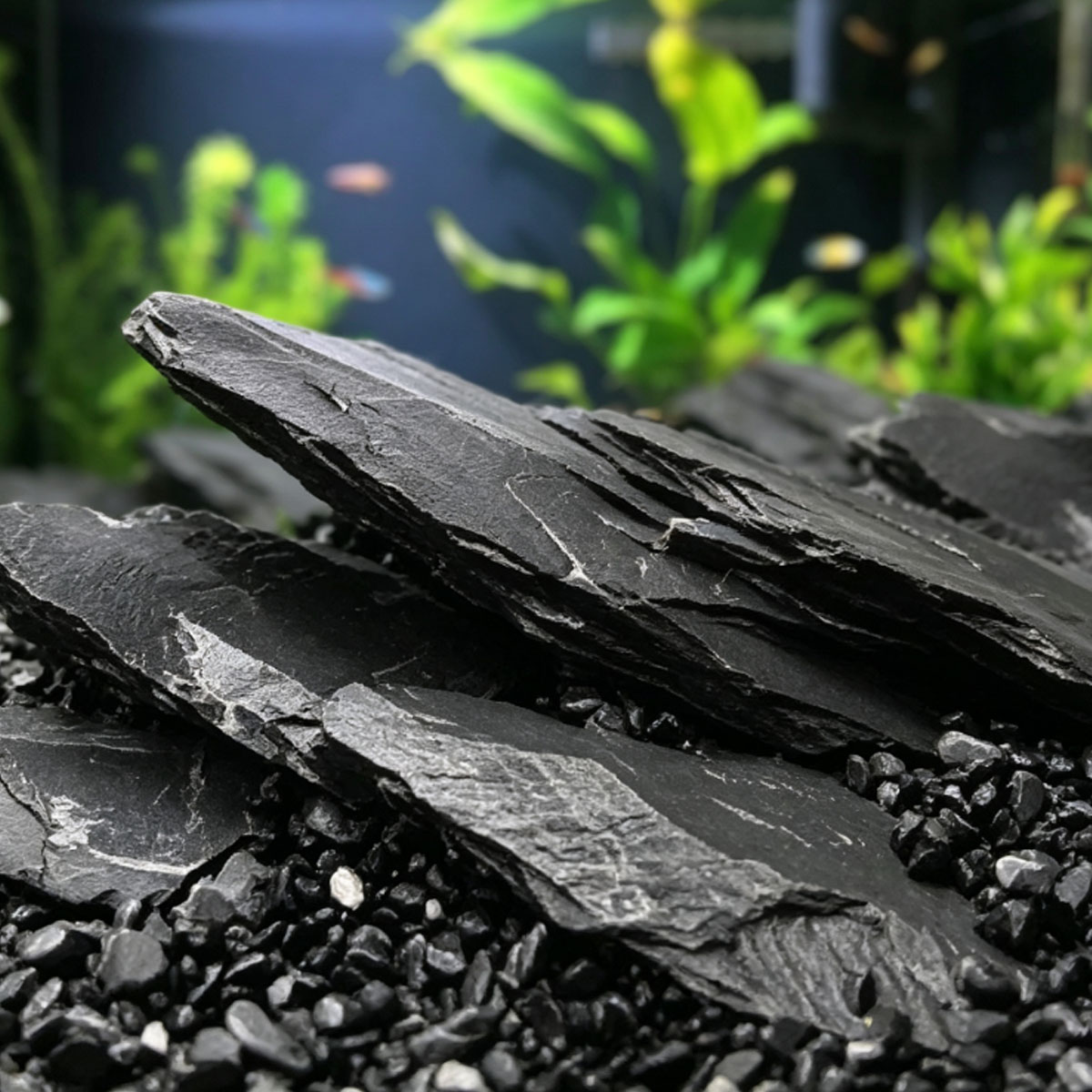 800g 5-10cm Black Slate Stone  - đánh giá và giá Aquasoil Substrate