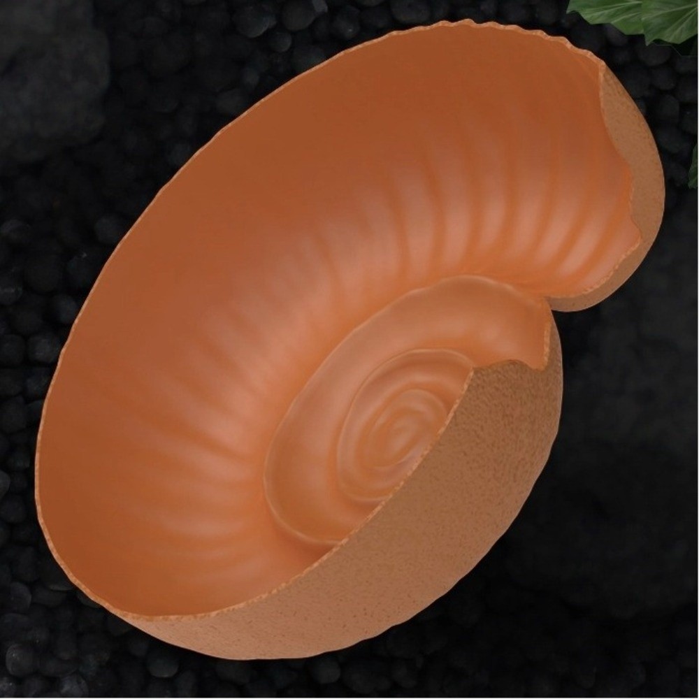 Ammonite Shape Reptile Hidden  - đánh giá và giá Aquarium Planting Ideas